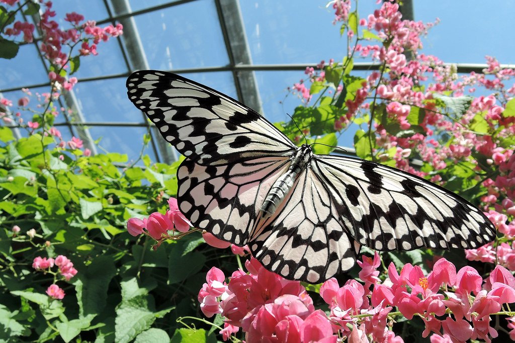 🦁 타마 동물공원(타마 도부츠코엔) 이미지 5